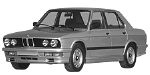 BMW E28 P060A Fault Code