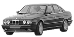 BMW E34 P060A Fault Code